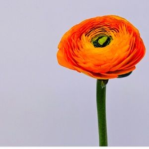 I love bundles & offers